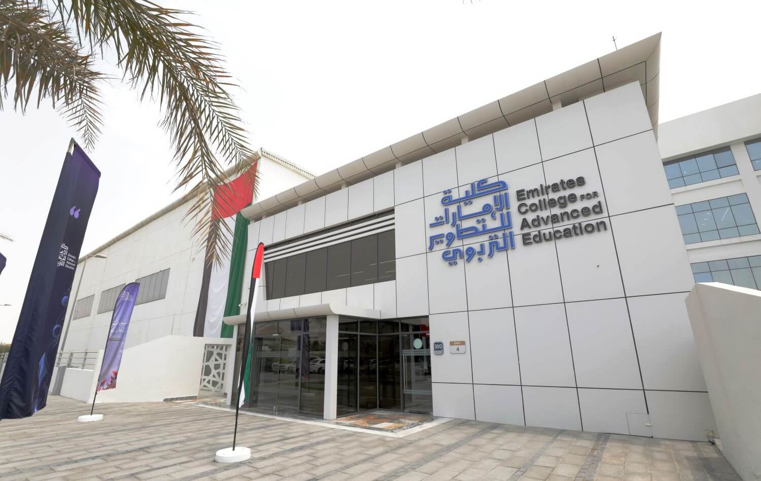 ECAE