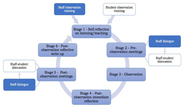 Figure 1: Cycle of Collaborative Observation (CoCO)