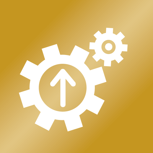 Drives improvement and excellence icon