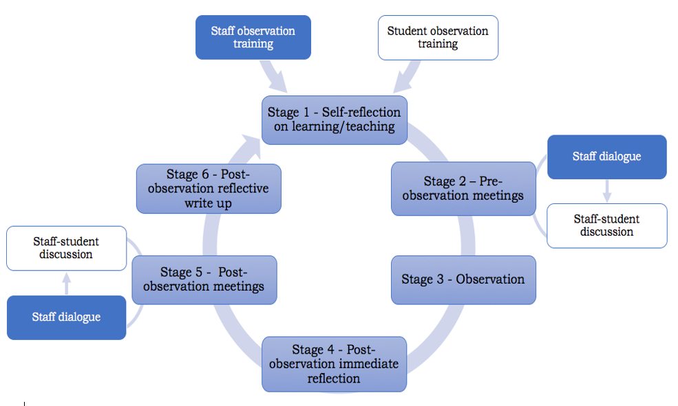 graphic-cep-project-blog ""